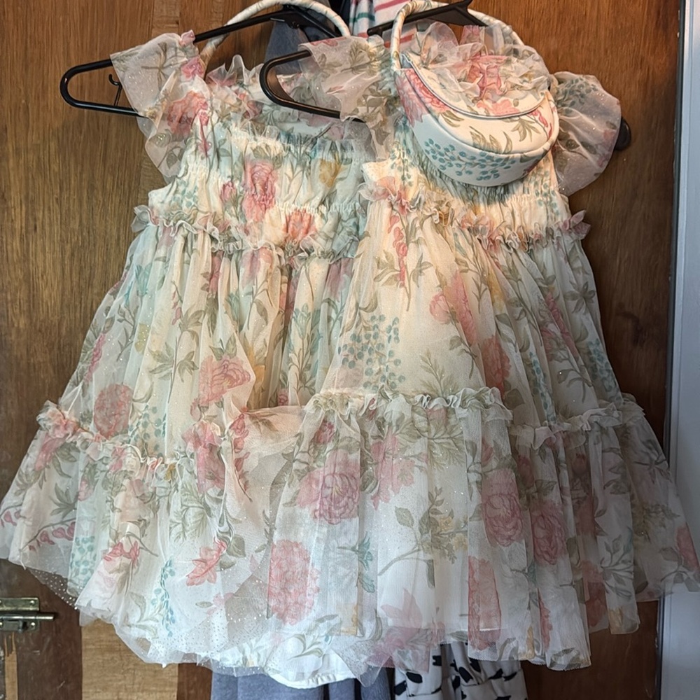 RACHEL ZOE Multi Toddler Girls Ruched Floral Dress With Purse